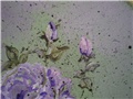 Shabby chic ruza